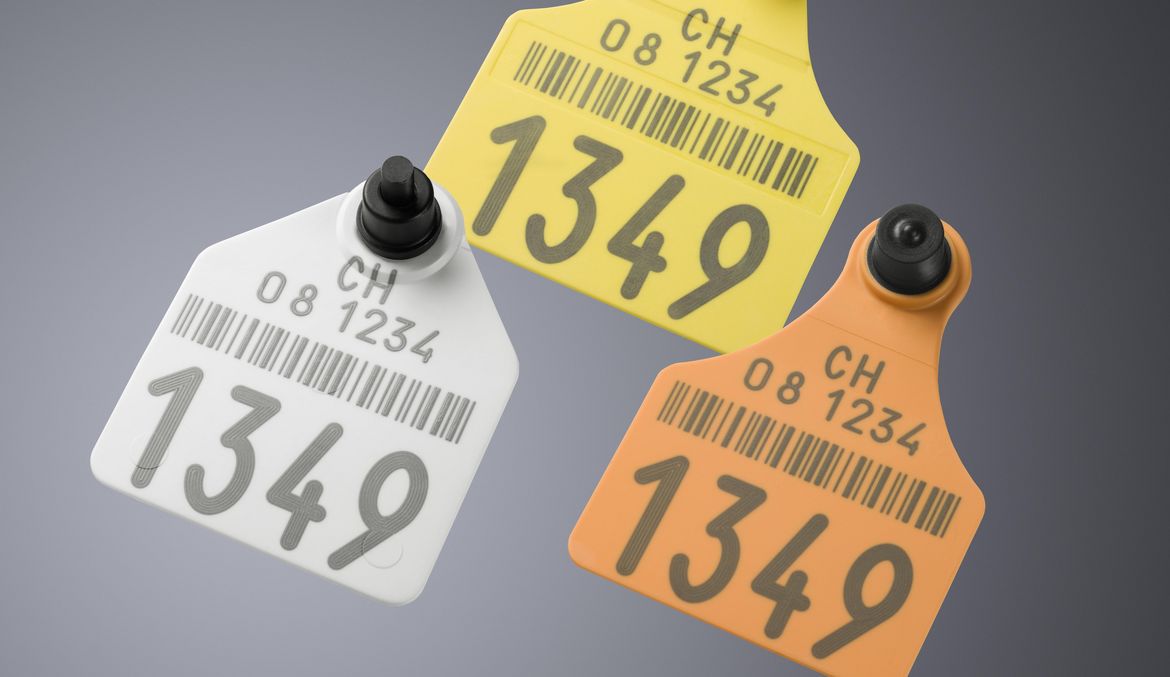 Verfärbung von Kunststoff mit der TruMark Serie 5000